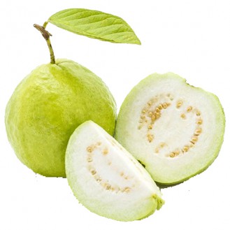 Guava