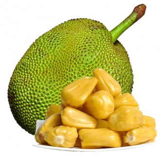 Jackfruit