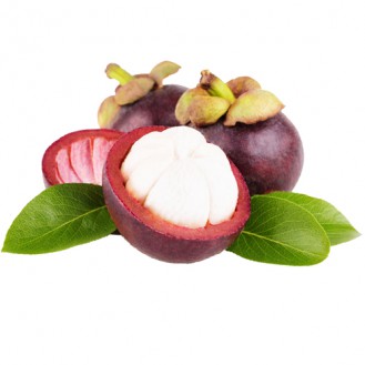 Mangosteen