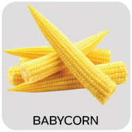 Babycorn