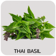 Thai Basil