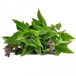Thai Basil