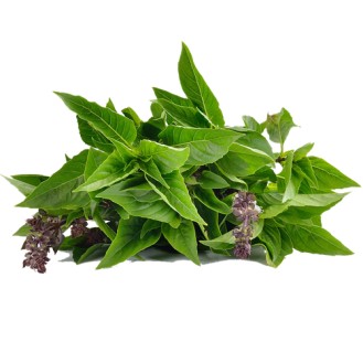 Thai Basil